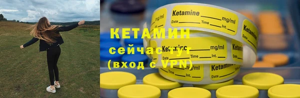 шишки Абаза