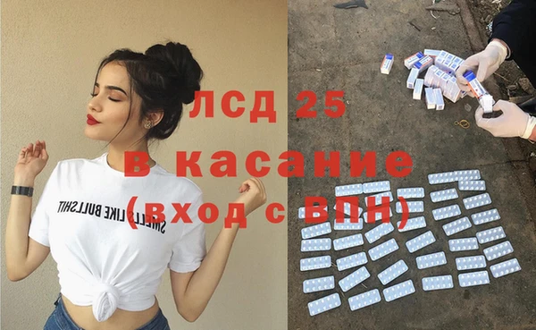 индика Рославль