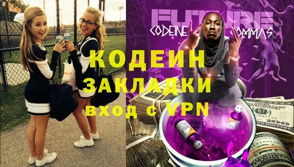 шишки Абаза