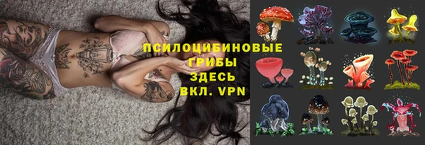 индика Рославль