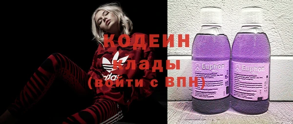 шишки Абаза