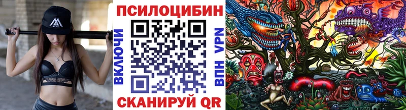 KRAKEN ссылка  Железногорск-Илимский  Псилоцибиновые грибы GOLDEN TEACHER 